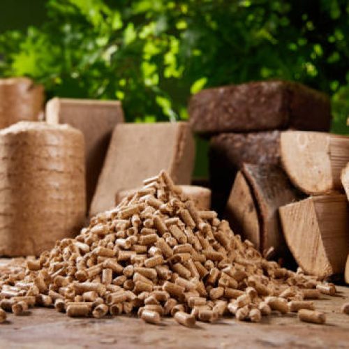 briquette Pyramid of biofuel pellets stacked on wooden table near biomass briquettes and chopped firewood against lush green oak tree